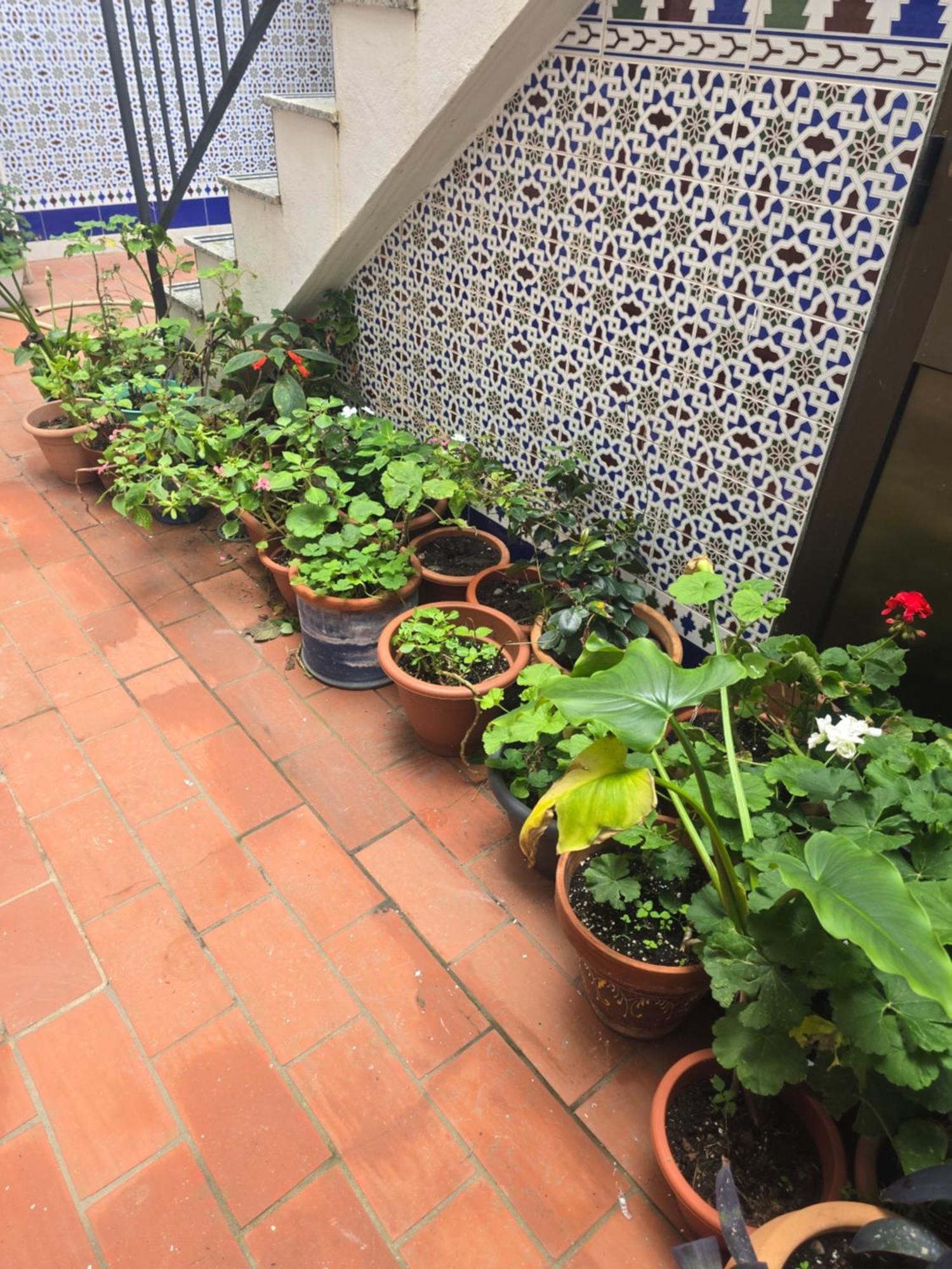 La Tortuga Lodging Rooms Tarifa Exterior photo